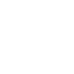 icone revenir / back icon